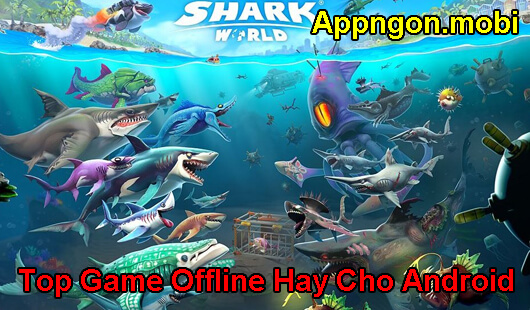 nhung-game-offline-hay-cho-android
